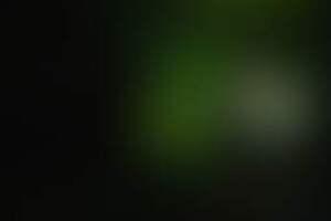 Фотография перформанса Астрал от компании Паника (Фото 2)